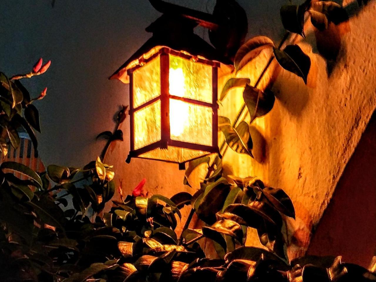 Bed and Breakfast Casa Blanca Boutique & Organic Канкун Экстерьер фото